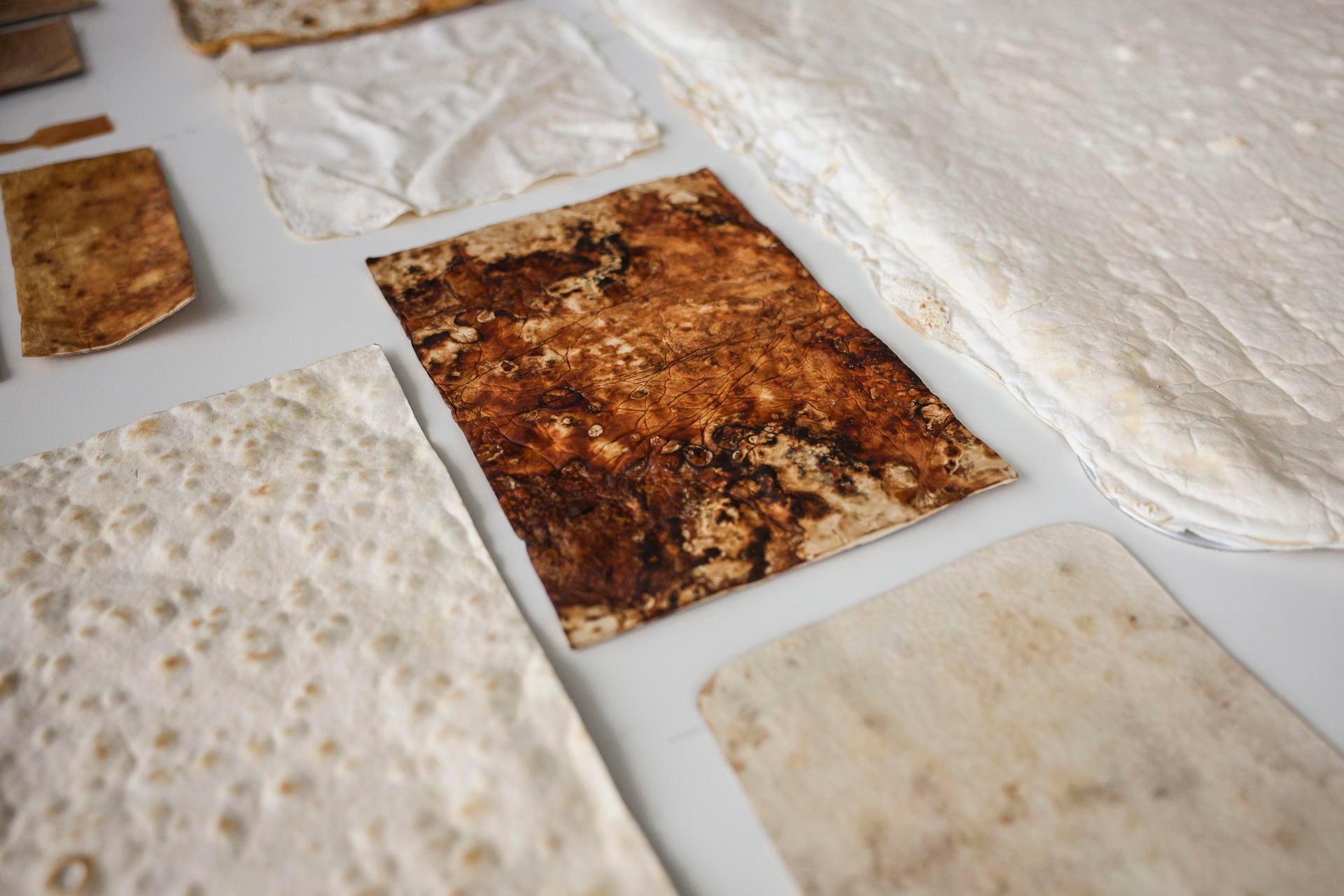 BRUSELAS, 11/06/2025.- Muestras de tejidos y materiales a base de champiñones realizados por el equipo de la investigadora de la Universidad Flamenca de Bruselas, Anouk Verstuyft y Annah-Ololade Sangosanya. El misterioso reino fungi está de moda, un campo en desarrollo es el de los biomateriales, porque los hongos también intentan hacerse hueco en la fabricación de muebles, ropa vegana y como sustitutos del poliestireno expandido, ese corcho blanco de los paquetes frágiles que no se recicla y precisa 500 años para degradarse. EFE/ Pablo Garrigós